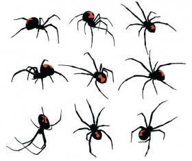 Realistic spider vector design - Vector Animal free download