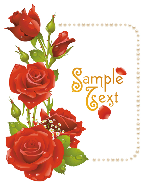 Red rose with pearl background vector