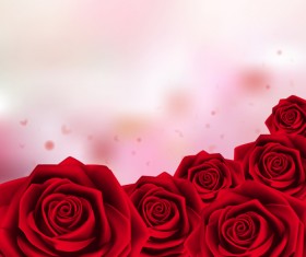 Red rose with pink background vector 01