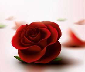 Red rose with pink background vector 02