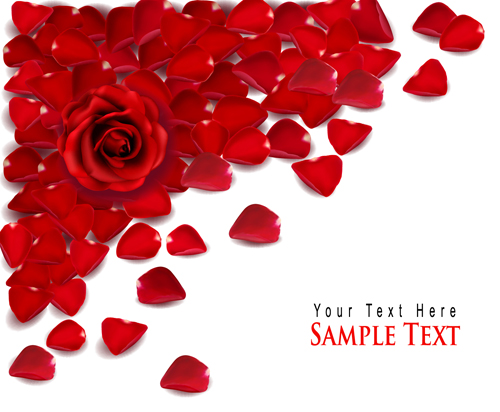 Rose leaf Valentine day card vector material