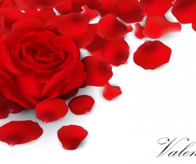 Rose petal valentines day background vector 04
