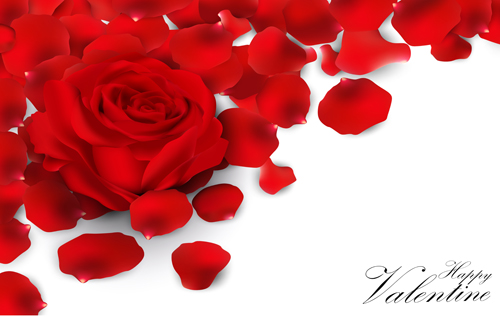 Rose petal valentines day background vector 04