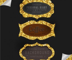 Shiny golden frame design vector set 01