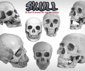 Skull Photoshop Brushes set
