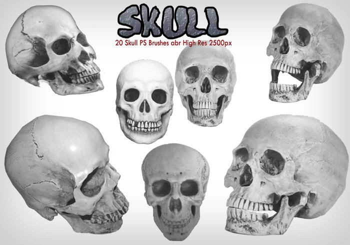 Skull Photoshop Brushes set