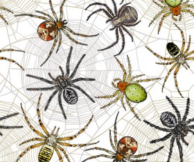Vector spider seamless pattern design 03