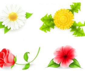 4 Kind flower vector illustration