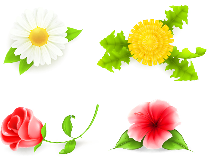 4 Kind flower vector illustration