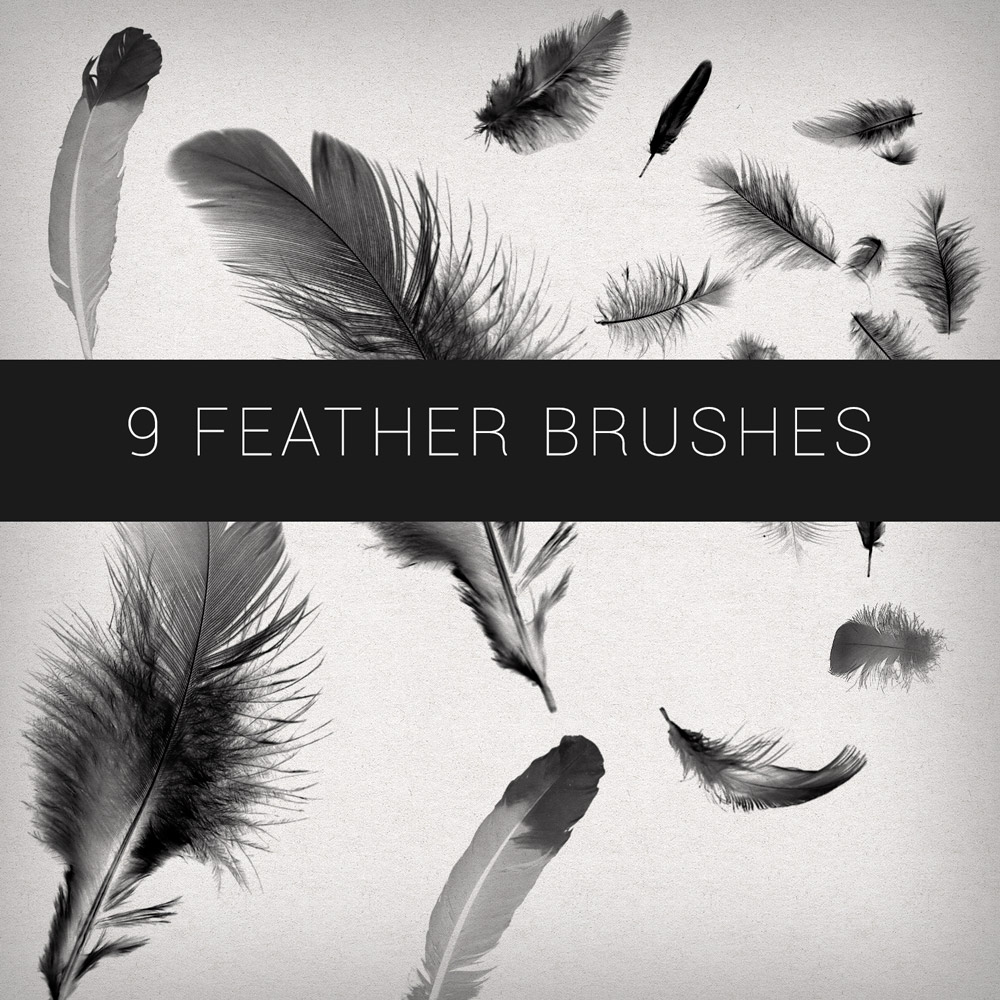 9 Kind feathers Photoshop Brushes