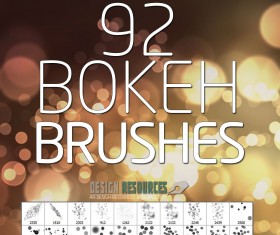 92 Kind bokeh brushes