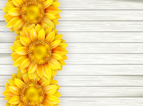 Beautiful sunflowers with wooden background vector 01