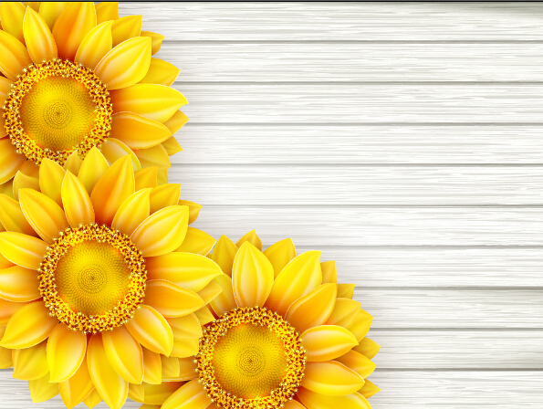 Beautiful sunflowers with wooden background vector 02