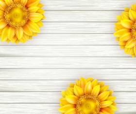 Beautiful sunflowers with wooden background vector 03
