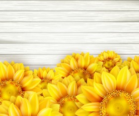 Beautiful sunflowers with wooden background vector 04