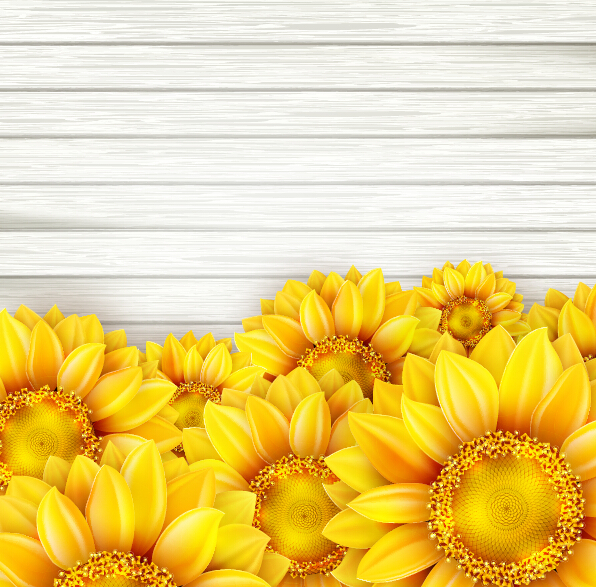 Beautiful sunflowers with wooden background vector 04