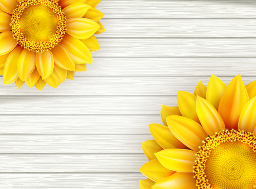 Beautiful sunflowers with wooden background vector 05