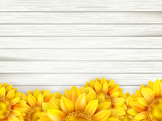 Beautiful sunflowers with wooden background vector 06