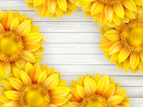 Beautiful sunflowers with wooden background vector 07