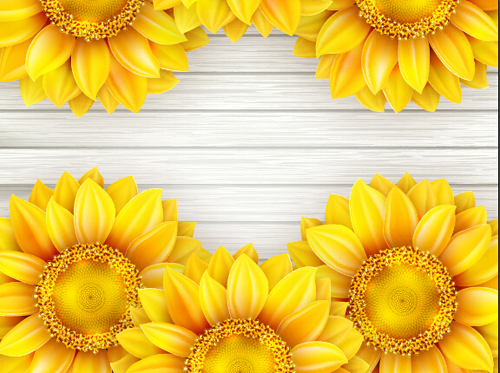 Beautiful sunflowers with wooden background vector 08