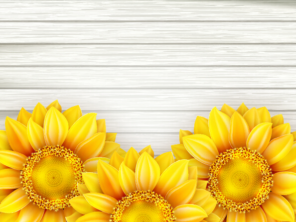 Beautiful sunflowers with wooden background vector 09