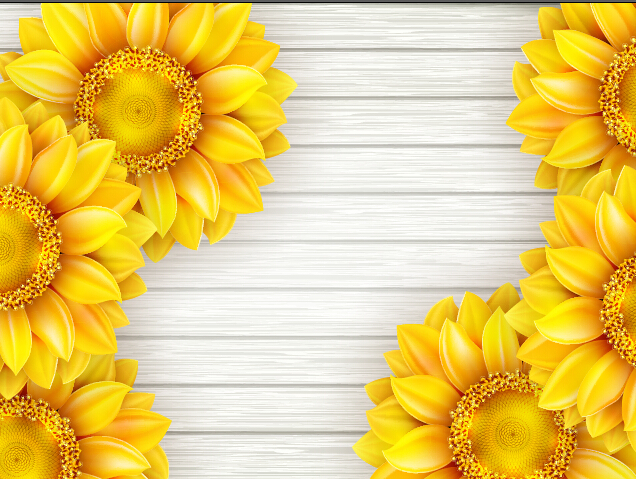 Beautiful sunflowers with wooden background vector 10