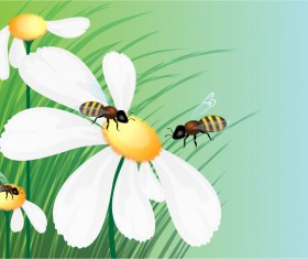 Bee with white flower and grass vector