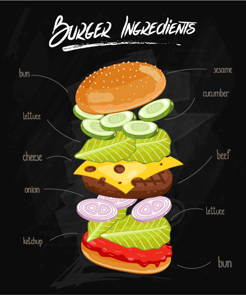 Burger Ingredients design vector 01