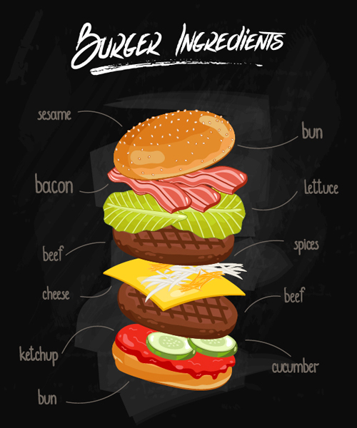 Burger Ingredients design vector 06 free download