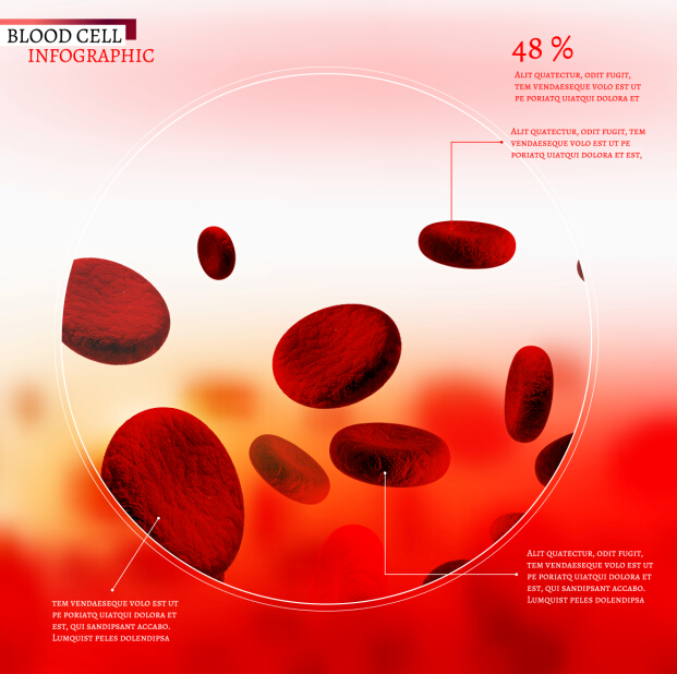 Creative blood cell infographic design vector 02