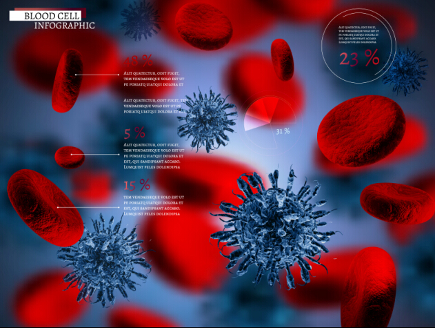 Creative blood cell infographic design vector 04