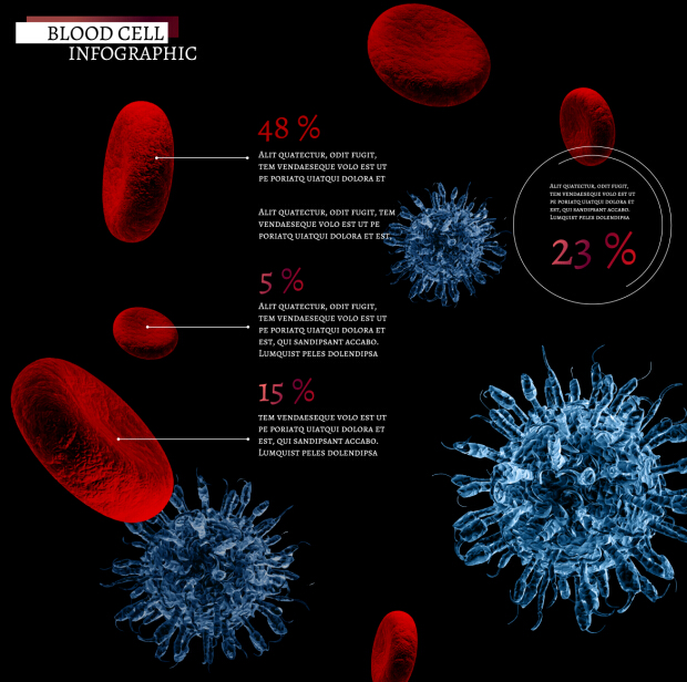 Creative blood cell infographic design vector 05