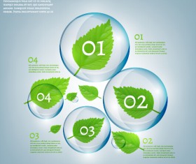 Eco Infographics and leaves bubble vector 01