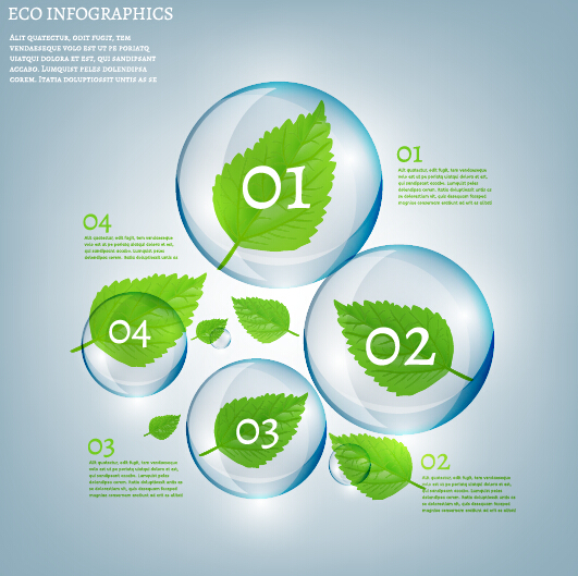 Eco Infographics and leaves bubble vector 01