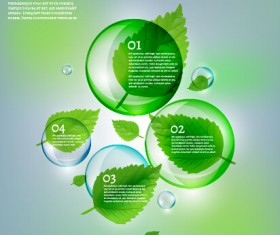 Eco Infographics and leaves bubble vector 02
