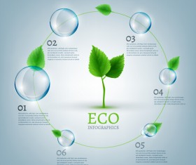 Eco Infographics and leaves bubble vector 06