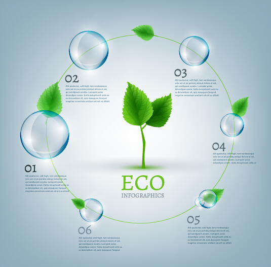 Eco Infographics and leaves bubble vector 06