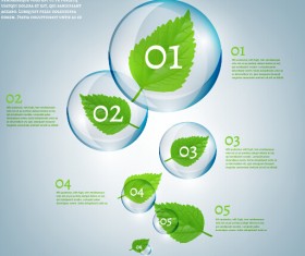 Eco Infographics and leaves bubble vector 15