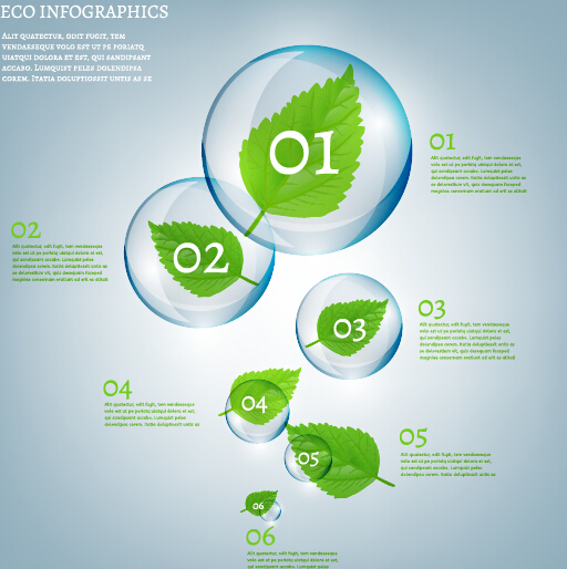 Eco Infographics and leaves bubble vector 15