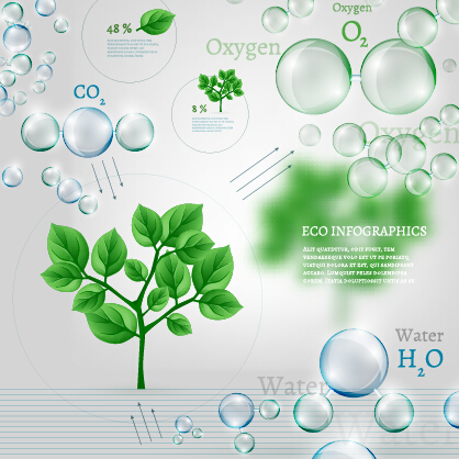 Eco Infographics with bubble vectors 01