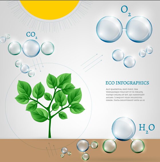 Eco Infographics with bubble vectors 17