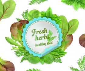 Fresh herbs labels with vector illustration