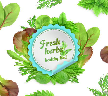 Fresh herbs labels with vector illustration