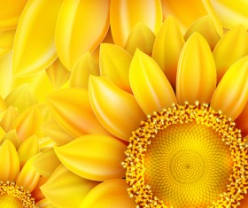 Gloden sunflower vector background 01