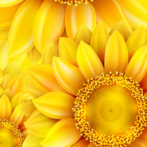 Gloden sunflower vector background 01