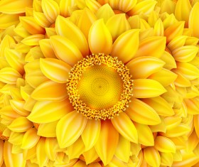 Gloden sunflower vector background 02