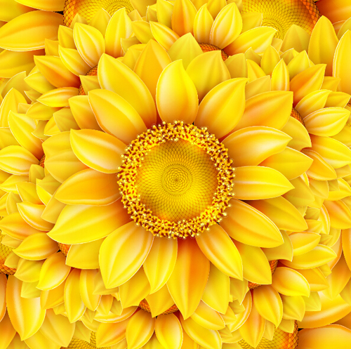Gloden sunflower vector background 02