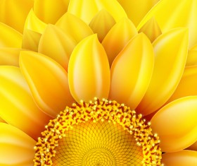 Gloden sunflower vector background 03