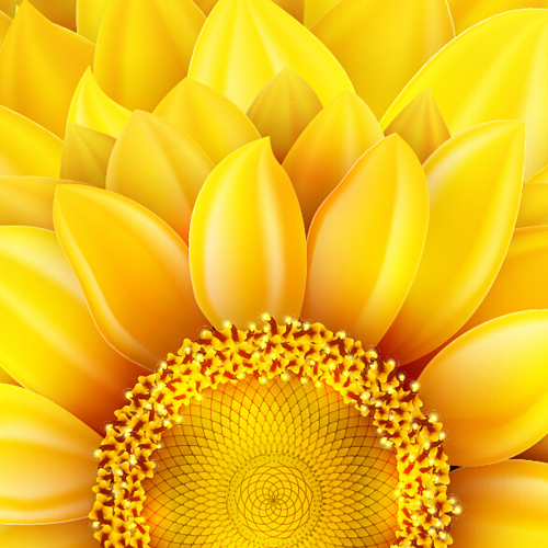 Gloden sunflower vector background 03