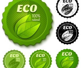 Green and black Eco badges vector